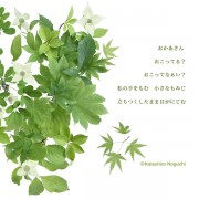 「〜緑葉の季節に〜」
